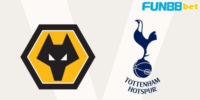 Các thông tin mới nhất về trận đấu giữa Tottenham vs Wolves