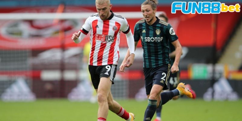 Một số thông tin khái quát về trận đấu Sheffield vs Fulham